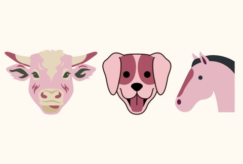 Représentation d’une tete de vache, de chien et de cheval