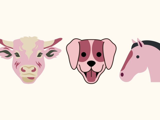 Représentation d’une tete de vache, de chien et de cheval