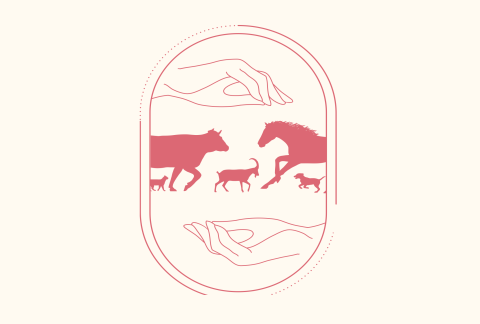 logo rose Zoé Gorli ostéopathe animalier comprenant un cheval, un vache, un petit chien, un chat et un chevre. Le tout encadré par deux mains au dessus et en dessous
