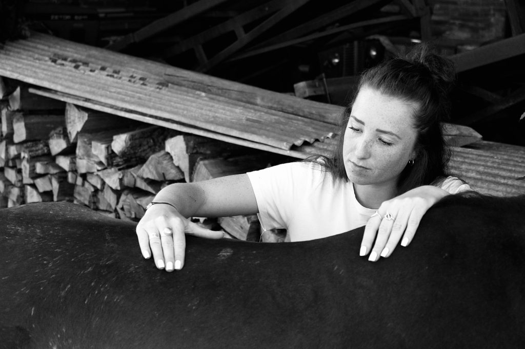 Photo en noir et blanc lors d’une palpation du dos d’un cheval